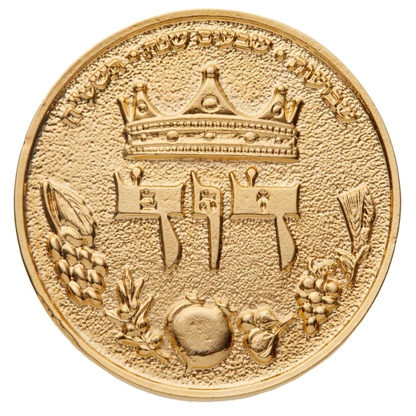 King David Half Shekel Coin